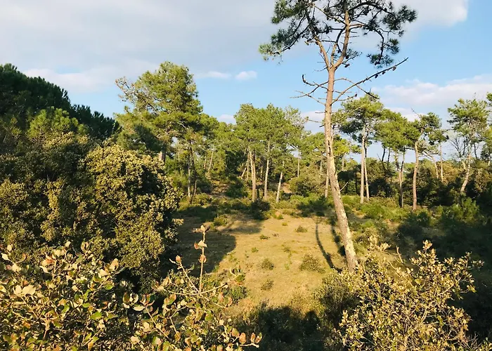 L'horizon Ocean, Face *